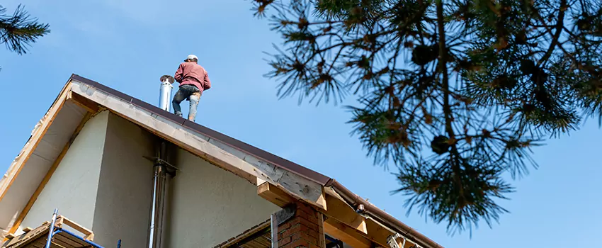 Birds Removal Contractors from Chimney in Secaucus, NJ