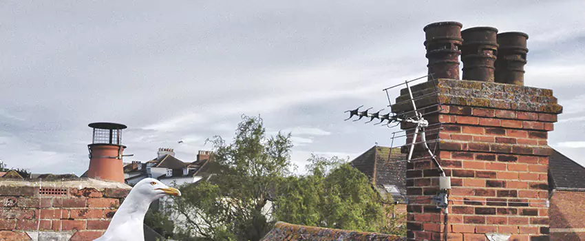 Chimney Cleaning And Restoration in Secaucus, New Jersey